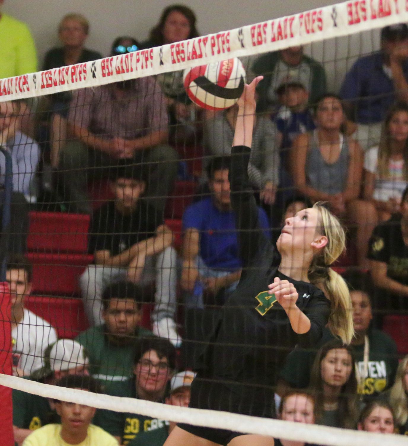 Golden Bears open season with victory over Bullpups
